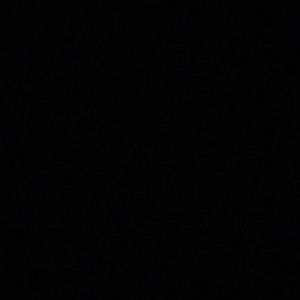 Meet your Posher, Ella